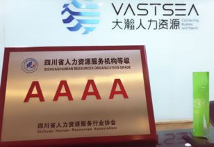 大瀚人力資源集團(tuán) 企業(yè)管理咨詢(xún)?nèi)绾瓮苿?dòng)組織變革與效能提升？