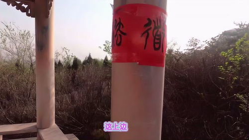 清徐服務區(qū)新發(fā)現(xiàn) 共享自行車服務，旅途中的便捷新選擇